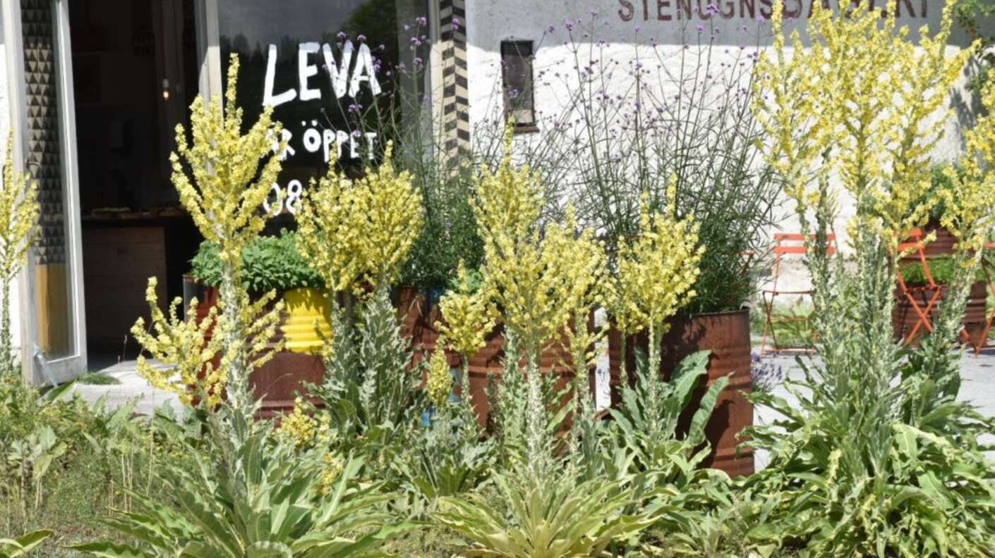 Restaurang Leva Kungslador i Visby 